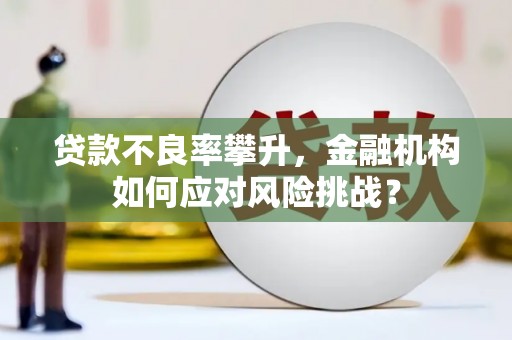 明山贷款不良率攀升，金融机构如何应对风险挑战？