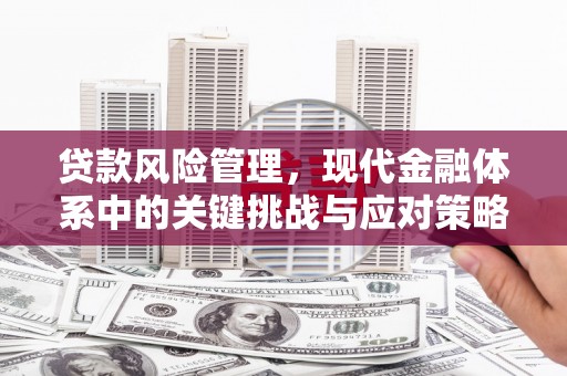 明山贷款风险管理，现代金融体系中的关键挑战与应对策略