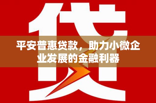 明山平安普惠贷款，助力小微企业发展的金融利器