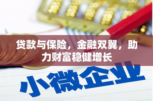 明山贷款与保险，金融双翼，助力财富稳健增长